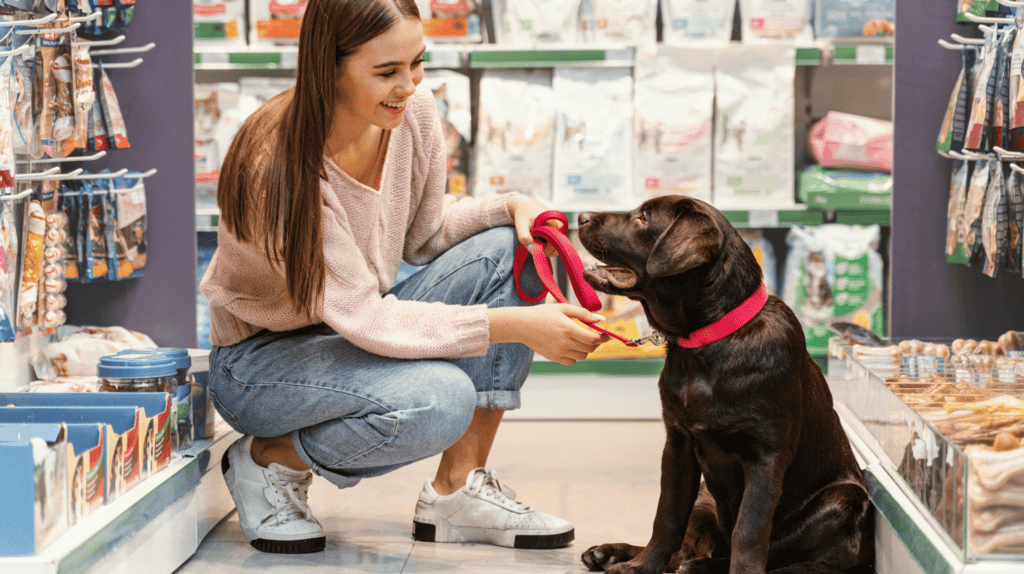 Mais Resultado | Agência de Marketing Digital para Pet Shop Mais Resultado | Agência de Marketing Digital para Pet Shop