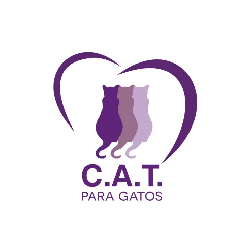 cat para gatos
